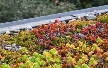 the cost of Footherley green roof installation