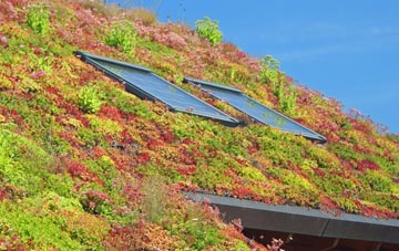 Footherley living roof systems