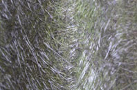 Footherley fibreglass roof work